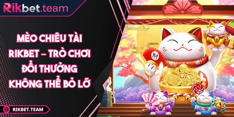 Mèo chiêu tài RIKBET